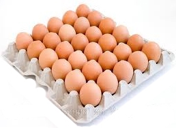 латок для яиц