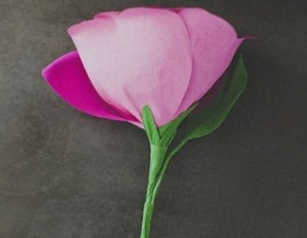 делаем розу из гофрированной бумаги