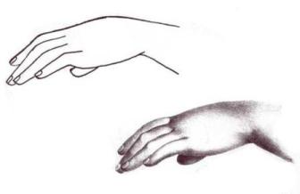 руки человека