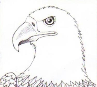 Как рисовать орла