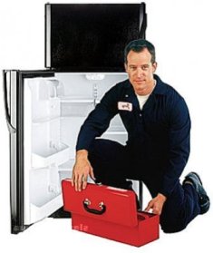 Как отремонтировать холодильник самому